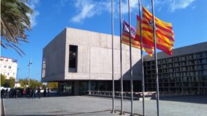 consell insular