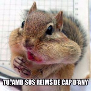 Viral hamster