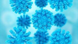 Virus