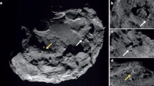 Rosetta cometa
