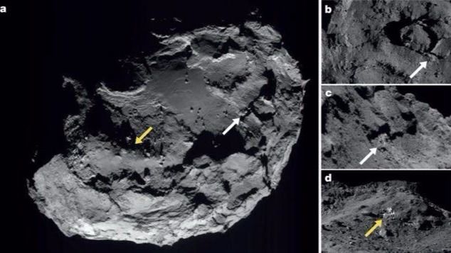 Rosetta cometa