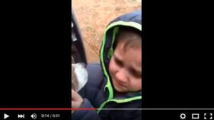 ni&ntilde;o perro video