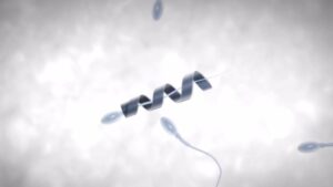 Robot esperma