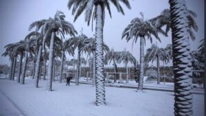 Nevada en Arabia Saud&iacute;