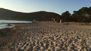 Playa Ses Salines