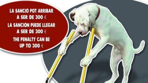campa&ntilde;a limpieza Sant Antoni