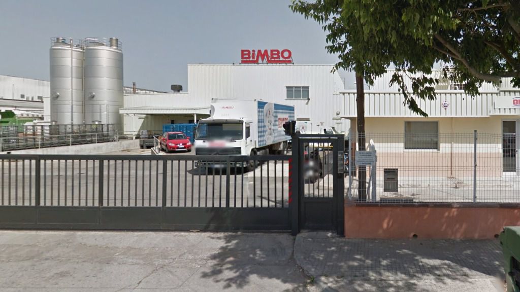 Planta de Bimbo