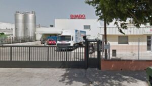 Planta de Bimbo