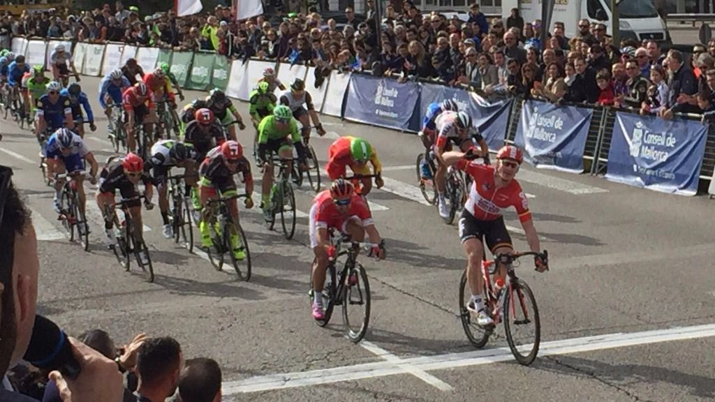 greipel