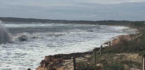 temporal viento olas