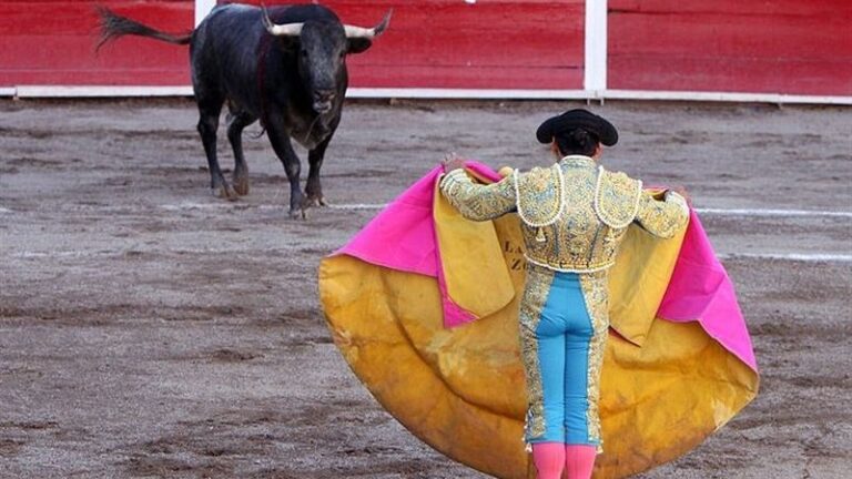 Se declaran "en guerra" contra los partidos antitaurinos
