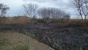 Incendio