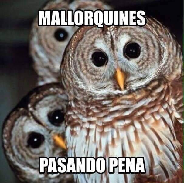 buhos viral