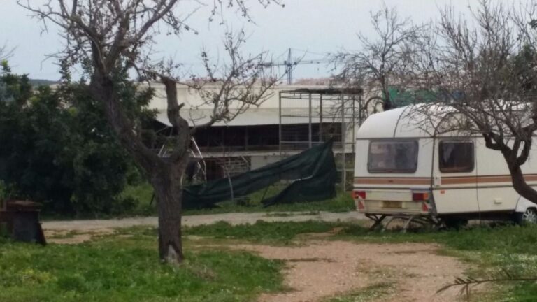 caravanas leones son servera