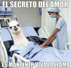 viral llama