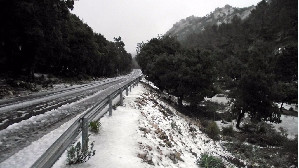 Nieve en el Puig Major