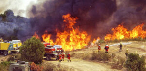 ume incendio forestal