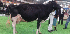 Goldwyn Jara en Torrelavega, tras proclamarse campeona de Espa&ntilde;a