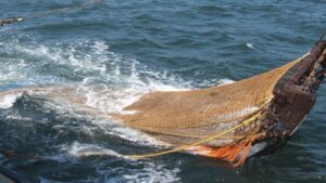 pesca de arrastre
