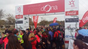 Palmadona