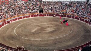 corrida muro
