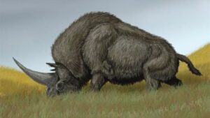 &Uacute;ltimo unicornio