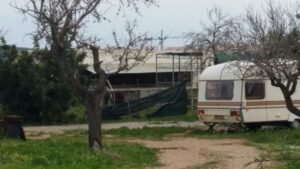 caravanas leones son servera