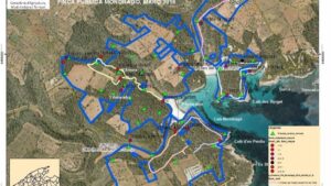 Mapa insectos