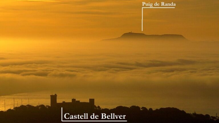 Niebla