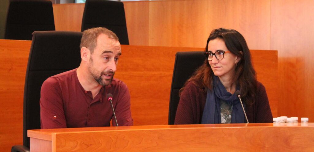 vericad y amengual