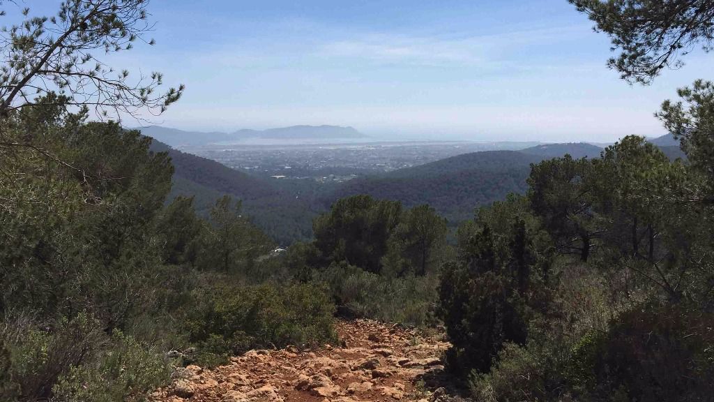 bosque camino rural pista forestal