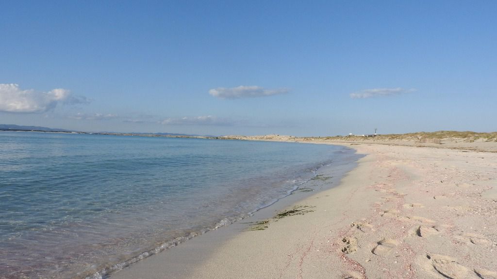 descubre formentera