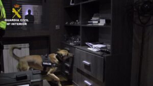 perro guardia civil droga
