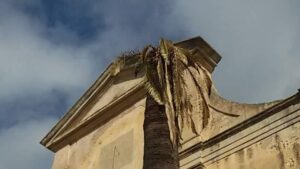 La palmera muerta