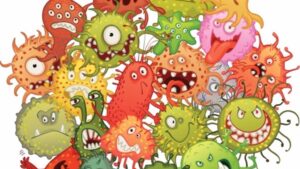 Bacterias