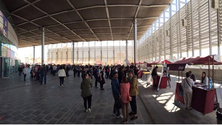 feria empleo palma