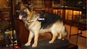 Ajax,el perro heroico