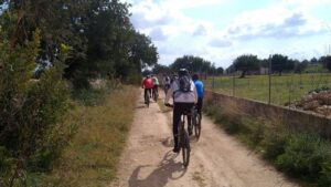 Imagen de uno de los caminos rurales pr&oacute;ximos a Binissalem