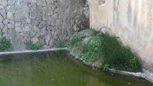 Un rinc&oacute;n de Sa Canaleta
