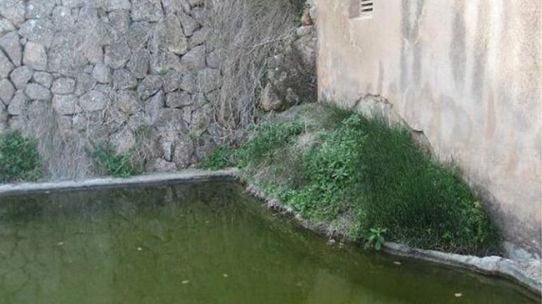 Un rincón de Sa Canaleta