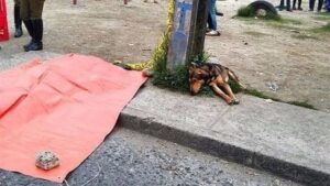 Imagen del perro junto al cad&aacute;ver de su due&ntilde;o