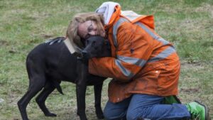 Perro abrazo