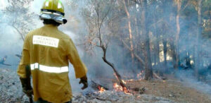 Foto de archivo de un operario del IBANAT en un incendio forestal