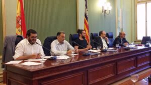 vicen&ccedil; vidal parlament
