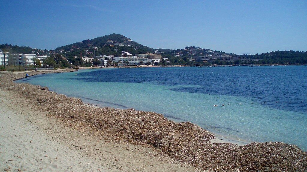 Restos de posidonia en Talamanca después de un temporal de mar