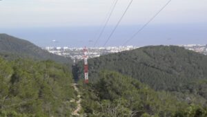 bosque tendido electrico