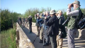 Turistas ornitol&oacute;gicos