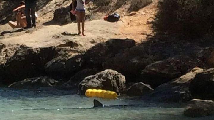 El caso ha generado gran polémica