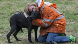 Perro abrazo