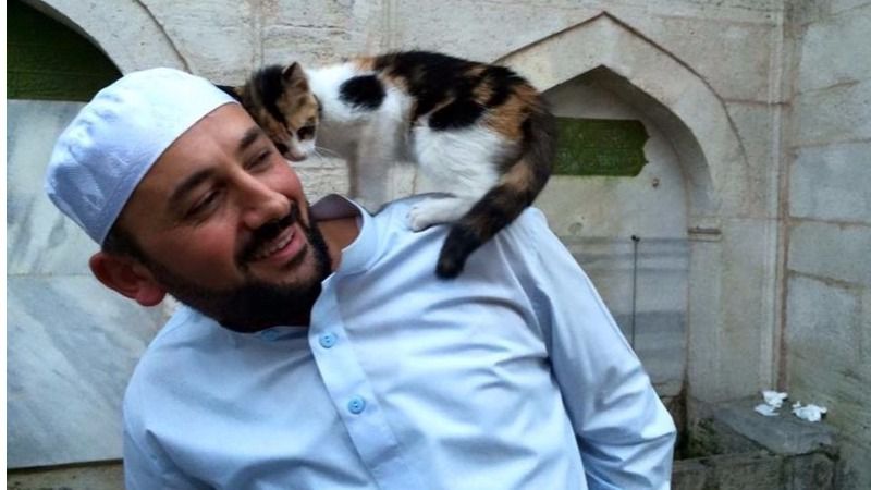 La toma de fotografías con gatos se ha extendido entre los saudíes